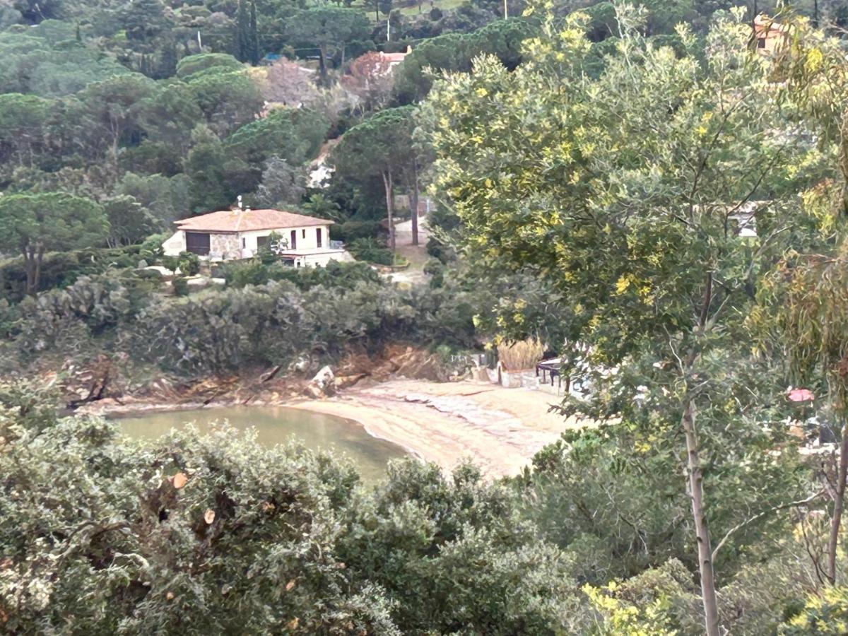 Suosogno Sul Mare 200Metri Dalla Spiaggia Capoliveri  Exteriör bild